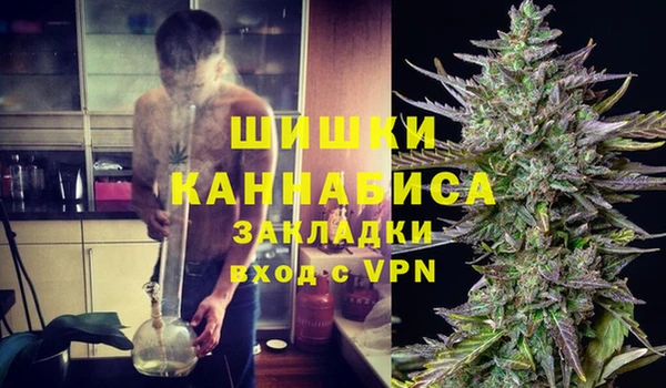 прущие грибы Арсеньев