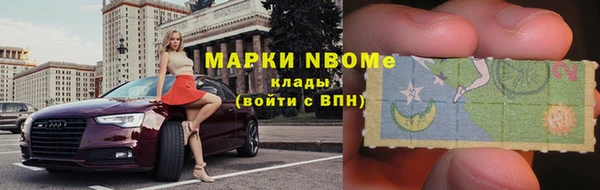 прущие грибы Арсеньев