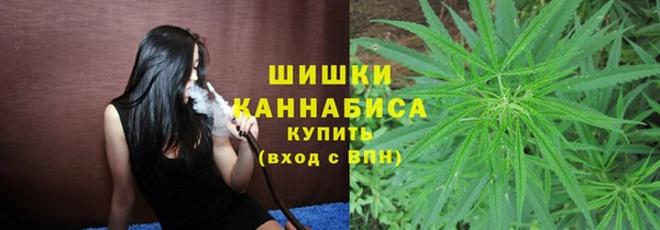 шишки Аркадак