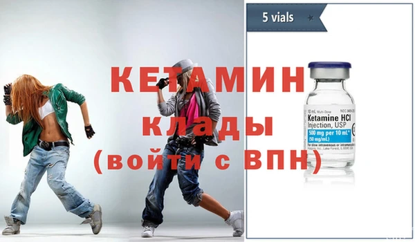 шишки Аркадак