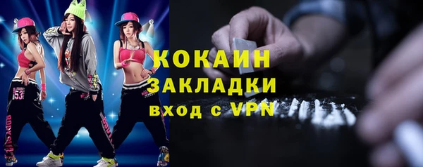 шишки Аркадак