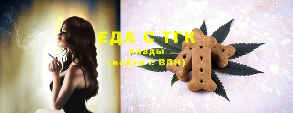 индика Армянск