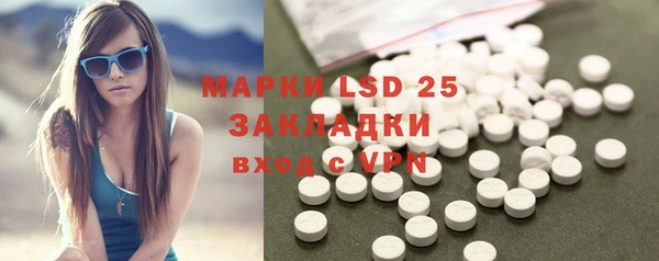 шишки Аркадак
