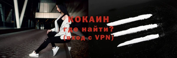 шишки Аркадак