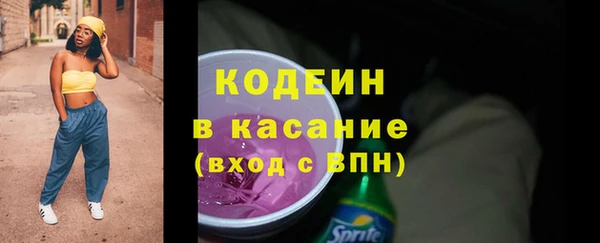 шишки Аркадак