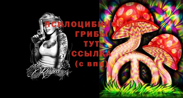 прущие грибы Арсеньев