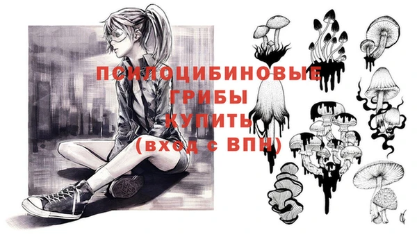 индика Армянск