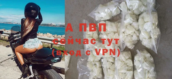 шишки Аркадак