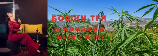 индика Армянск