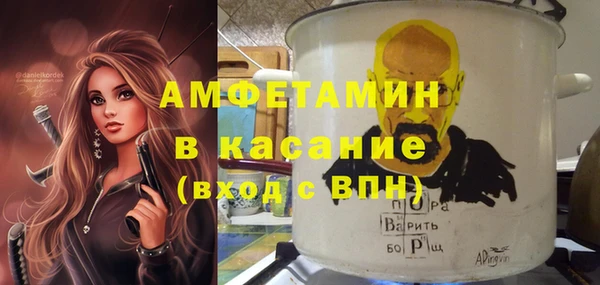шишки Аркадак